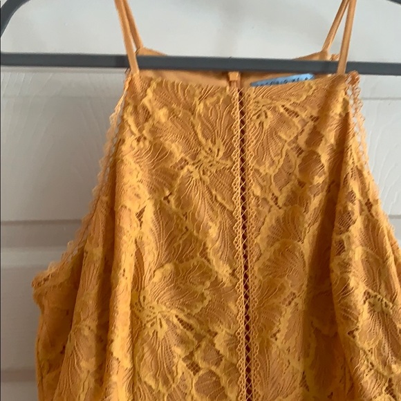 Antonio Melani Heinrich Lace Midi Dress - Picture 4 of 8